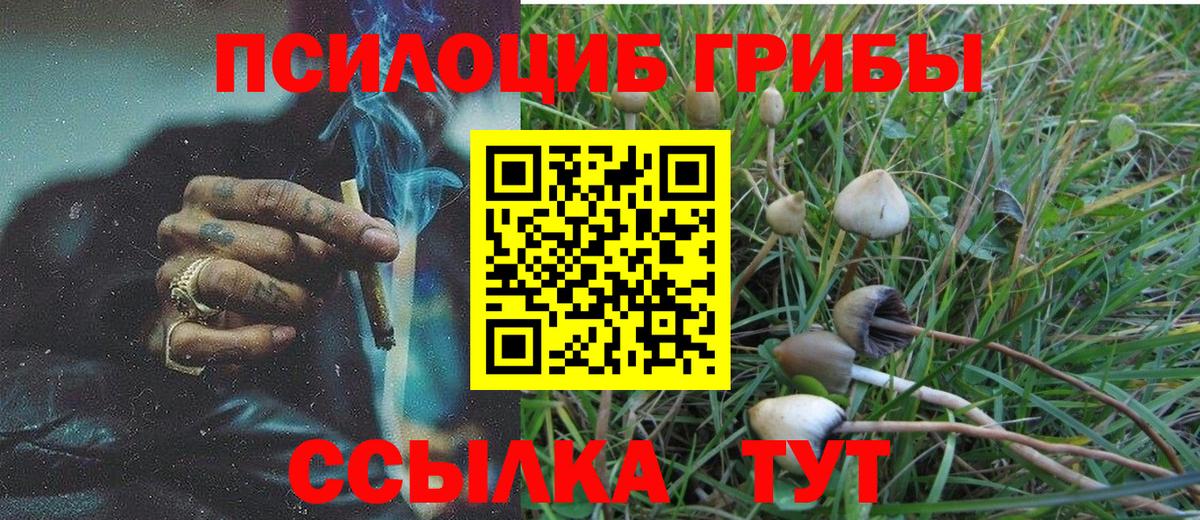 Псилоцибиновые грибы мицелий  Вход с VPN  Дмитров 